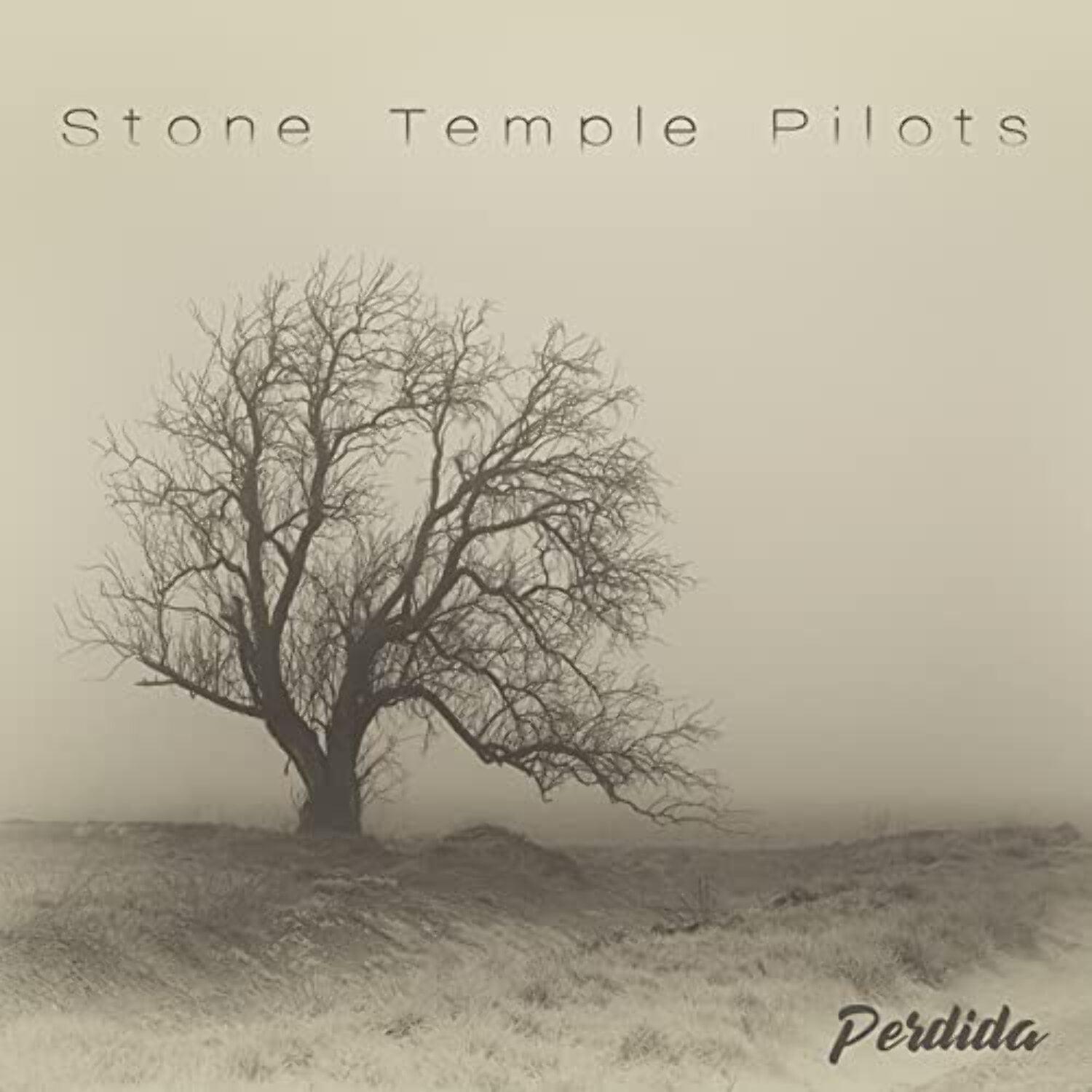 Stone Temple Pilots - Tiny Music Songs From The Vatican Gift