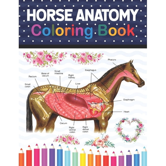 Horse Anatomy Coloring Book: Horse Anatomy and Veterinary Physiology Coloring Book. The New Surprising Magnificent Learning Structure For Veterinary Anatomy Students.Animal Anatomy & Physiology Colori