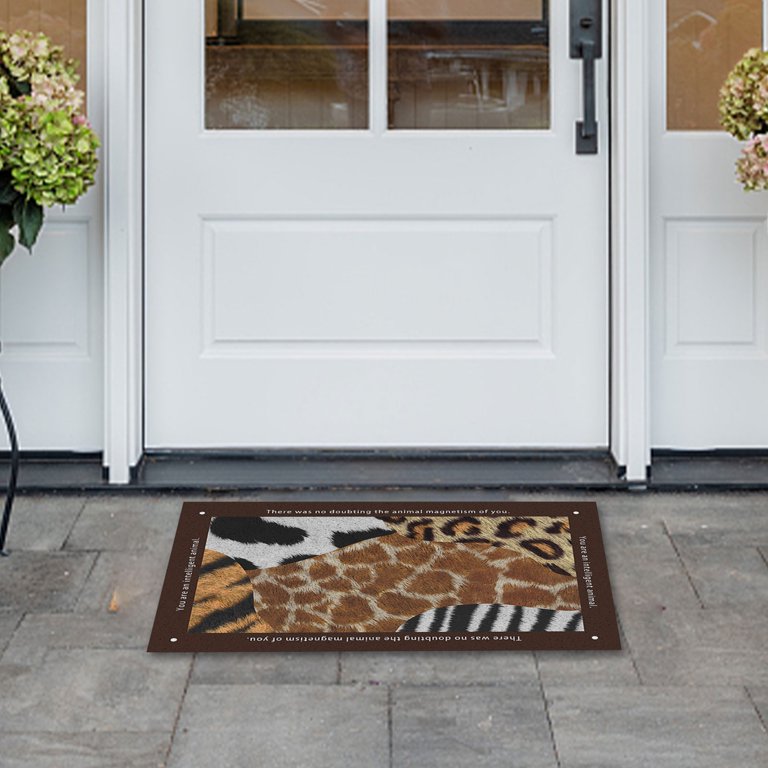 Dezsed Front Door Mat Welcome Mats Indoor Outdoor Soft Rugs