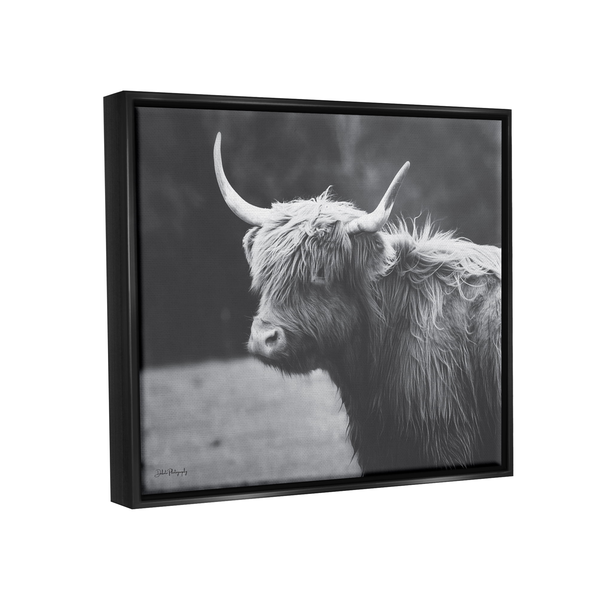 Stupell Country Cattle Highland Farm Animal Animals & Insects Photography Black Floater Framed Art Print Wall Art