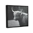 thumbnail image 3 of Stupell Country Cattle Highland Farm Animal Animals & Insects Photography Black Floater Framed Art Print Wall Art, 3 of 6