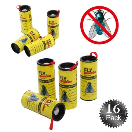 Sticky Fruit Fly Bug Traps for Indoor/Outdoor Use - Insect Catcher for White Flies, Mosquitos, Fungus Gnats, Flying Insects - Disposable Glue Trappers - 16 (Best Way To Kill Fungus Gnats)