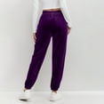 thumbnail image 6 of Lenpel Women's Velour Joggers Soft Casual Elastic High Waisted Tapered Velvet Sweatpants Comfy Lounge Pants with Pockets(Purple,Large), 6 of 6