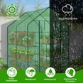 thumbnail image 5 of Ktaxon 57x57in Portable Greenhouse, Green Outdoor Plant House for Garden & Patio, 5 of 7