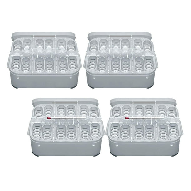 Exo terra incubator 2024 for chicken eggs