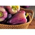 thumbnail image 3 of 100 Seeds LILAC BELL PEPPER Capsicum Annuum Sweet Mild Purple Vegetable Seeds, 3 of 10
