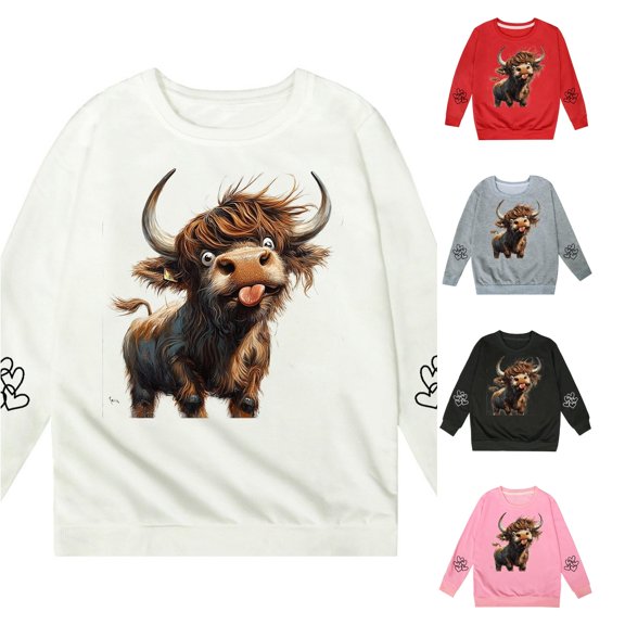 Zylarhe Kids Sweatshirts Girls Long Sleeve Hooded Dress and Sweatshirt Fashion Cute Casual Outfit Soft Comfortable Kids Wear for Play School White 13-14 Years