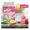 thumbnail image 3 of Aromatizante de ambiente continuo Great Value Fruity Blossom 2 repuestos, 3 of 5