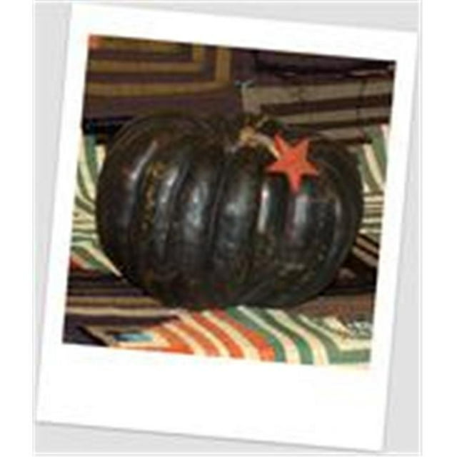 Craft-Tex PUM 1 Jarrahdale Mûre de Citrouille