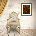 thumbnail image 3 of Terrill, Steve 12x14 Gold Ornate Wood Framed with Double Matting Museum Art Print Titled - USA, Red poinsettia flowers with green leaves, 3 of 4