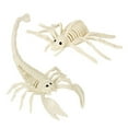 thumbnail image 5 of Dserhfy Halloween Animal Skeletons Dog Bat Frog Scorpion Spider Snake Rat Bone Skeletons for Halloween Party Haunted House Graveyard Scene Decoration, 5 of 8