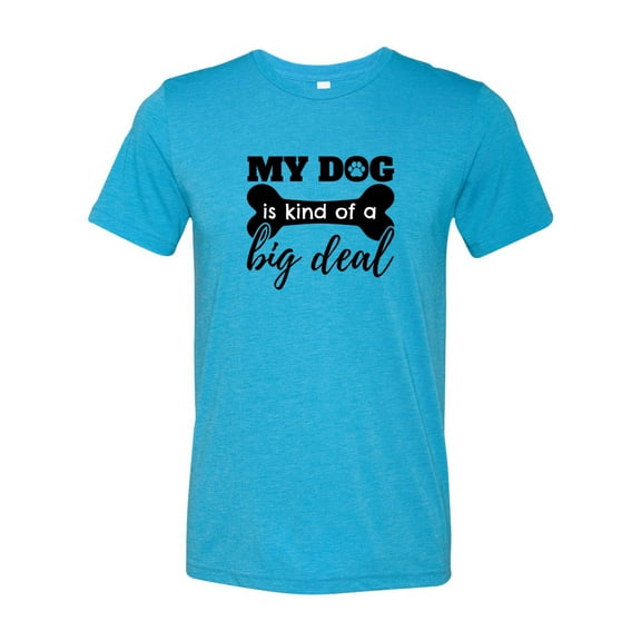 Unisex Adult Fit My Dog is Kind of An Important Person Short Sleeve T-Shirt-Aqua Triblend-Medium