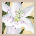 thumbnail image 3 of Great Art Now White Lily by Annie Warren, 2 Piece Framed Art Set Each 13.5W x 13.5H, 3 of 3