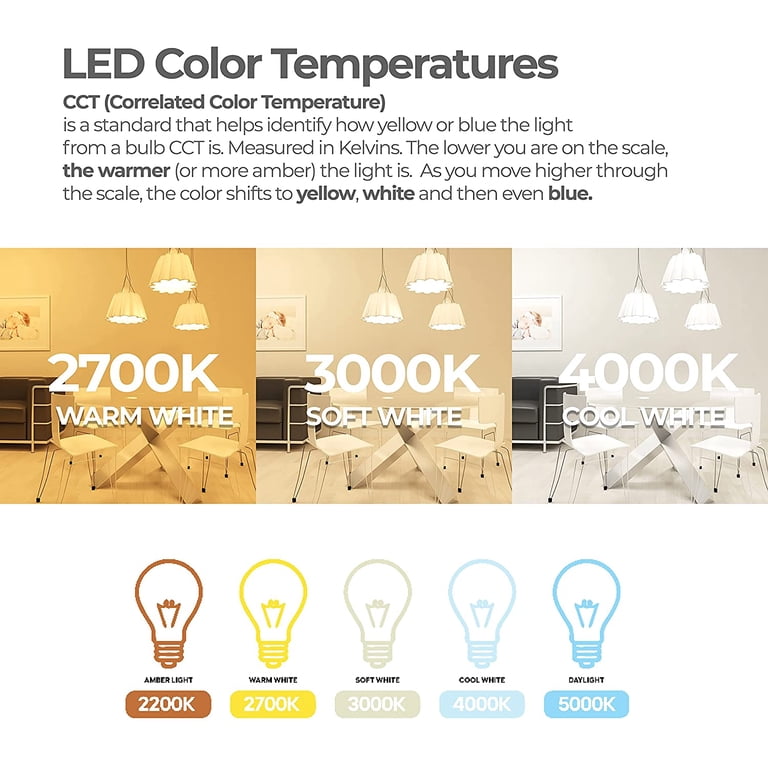 Bulbrite 776897 - LED8G40/27K/FIL/M/3 (776897) G40 Globe LED Light 