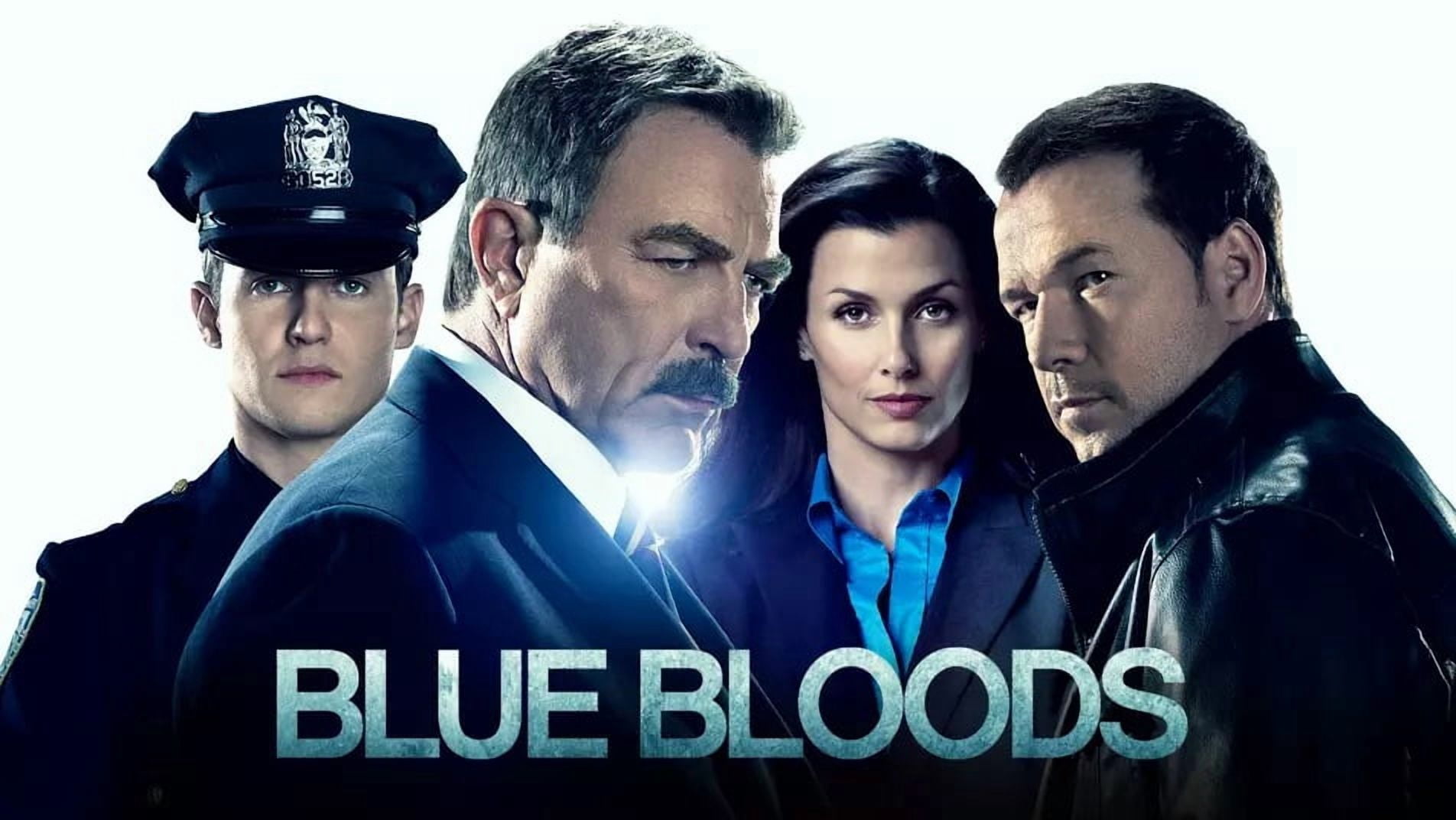 AZMedia Blue Bloods Complete Series, Seasons 1-14 DVD, Family