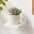 thumbnail image 4 of CSSJKYJ 4 Pack Small Floating Shelves, 5x5 Inches Wall Shelf, Rustic Wood Small Wall Mounted Shelves for Bedroom, Living Room, Kitchen, Bathroom Decor (White), 4 of 7