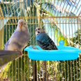 thumbnail image 2 of Baño para pájaros, los baños para loros de 2 piezas son adecuados para pájaros pequeños como loros canarios, los baños para pájaros de plástico tienen un espejo ajustable para atraer la atención del p, 2 of 5