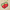 Natural with Strawberry Embroidery, variant on No Boundaries Women's Beach Icons Mini Straw Tote Bag, Natural with Lobster Embroidery