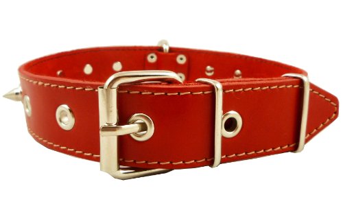 red spiked collar