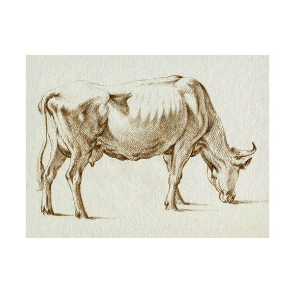 Trademark Fine Art Jean Bernard Sepia Grazing Cow sketch I Canvas Wall Art