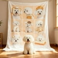 thumbnail image 2 of BAOPAI Customized Christmas Photo Blanket For Families Making Thick Winter Personalized Blankets With Pictures And Text Rectangular Blankets Holiday Hold 1-9 Images, 2 of 9