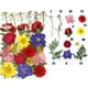 thumbnail image 3 of Flores de hojas prensadas secas reales, margaritas prensadas para joyería artesanal de resina Multi, 3 of 4
