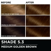 Garnier Olia Oil Powered Permanent Hair Color, 5.3 Medium Golden Brown