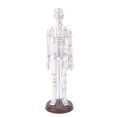 thumbnail image 1 of 52cm Human Body Acupuncture Model, Male/Female Chinese Teaching Acupoint Mannequin Pressure Point Acupuncture Model with Base, for Student Teaching Demonstration (Female), 1 of 9