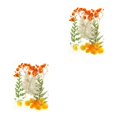 thumbnail image 4 of Juego de plantas secas Injueey Naranja 2Conjunto, 4 of 6