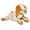 Bown Thumpers Bunny, variant on Jumbo Dog Toys Soft Stuffed Plush Cuddle and Play Animal Themes for All Breeds (Brown Sloth)