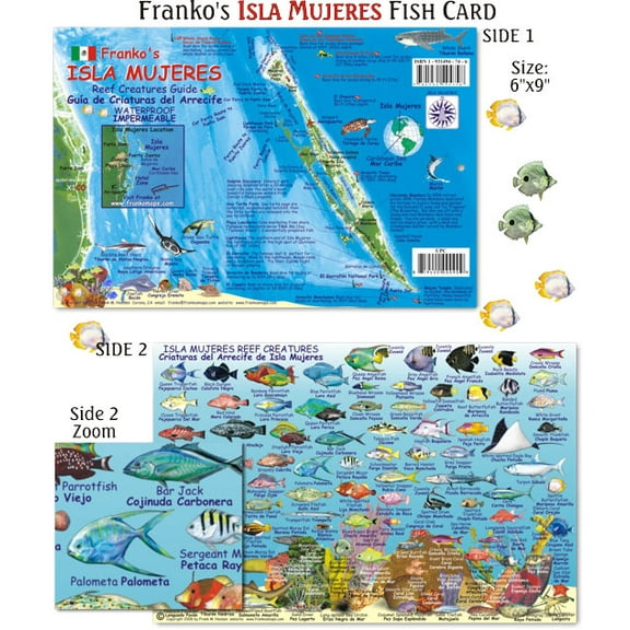 Franko Maps - Isla Mujeres Reef Fish ID