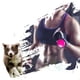 thumbnail image 5 of BlueHands-free correa de perro retráctil correa de muñeca correa de manos libres para perros gato, 5 of 5