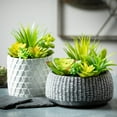 thumbnail image 3 of Sullivans Artificial Succulent In Cement Planter 6"H Green, 3 of 7