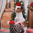 thumbnail image 3 of Sombrero de Navidad para mascotas, sombrero de Papá Noel para cachorros pequeños, adornos de disfraces de vacaciones, accesorios de Cosplay, suministros de disfraces para mascotas, 3 of 4
