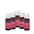 thumbnail image 1 of Bon Vital' Aromatherapy Grapefruit Essential Oil, Undiluted Therapeutic Aroma Oil for Aroma Therapy Diffuser or Diffuser Necklace, Astringent and Detoxifying Oil for Healthy Body and Mind, 10 mL, 1 of 1