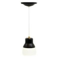 thumbnail image 1 of It's Exciting Lighting IEL-5891 Wireless LED Glass Hanging Pendant Light, Bronze, 1 of 8