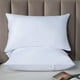 thumbnail image 1 of Super Soft Pillow Core - Plantillas de almohada de poliéster en pack de 2, 48x74cm (18,5x29,1 pulgadas) - soporte medio, transpirable, blanco/verde/gris, 1 of 6