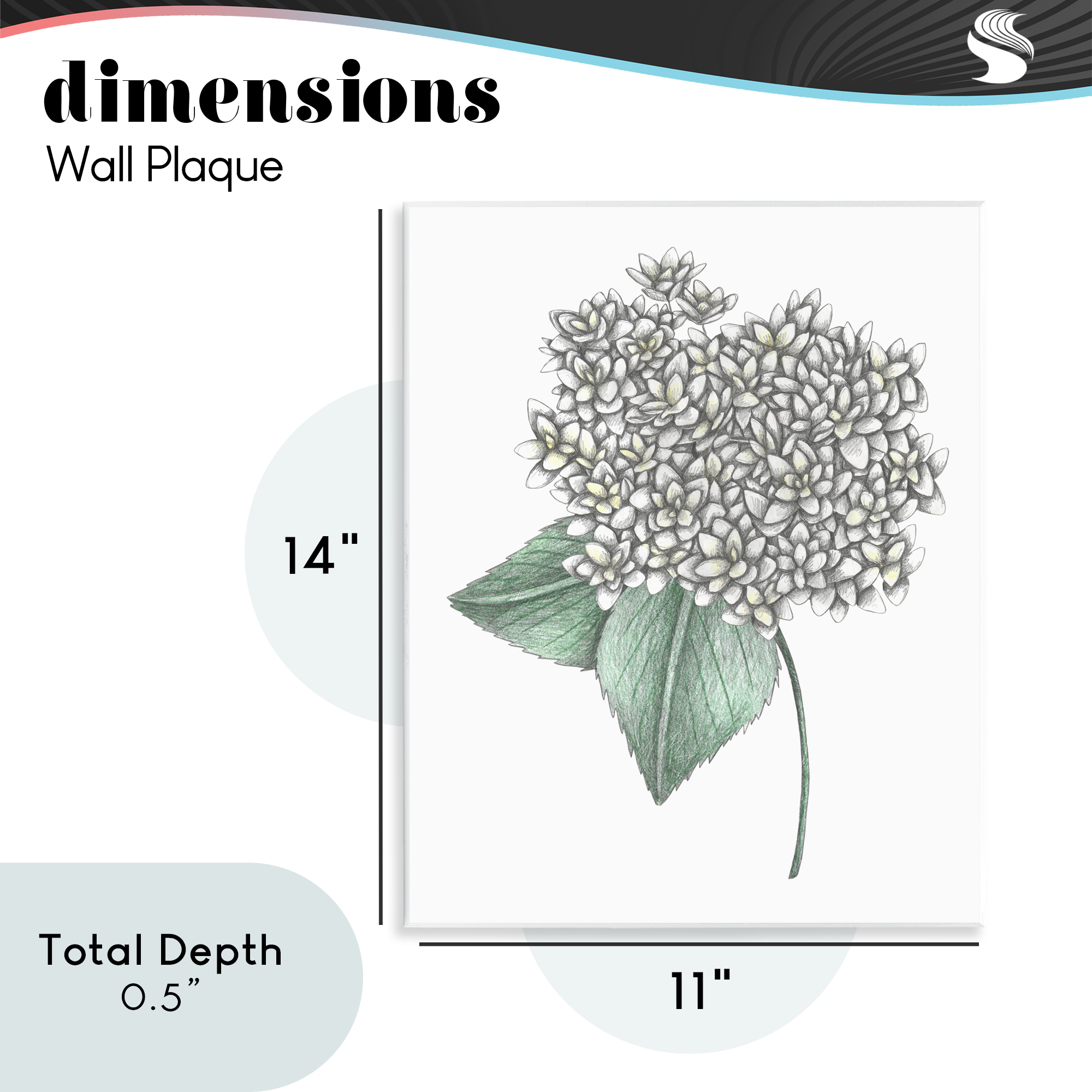 White Hydrangea Sketch Blossom Wall Plaque Art, design by Cecilia Battaini