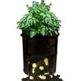 thumbnail image 4 of Sinhoon 10gal Potato Growing Bags with Handles, Reusable Vegetable Planter Growing Pots, Perfect for Home Garden Patio Backyard Plant Growing, 4 of 7