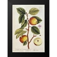 thumbnail image 2 of Blackwell, Elizabeth 11x14 Black Modern Framed Museum Art Print Titled - Apple Tree, 2 of 5