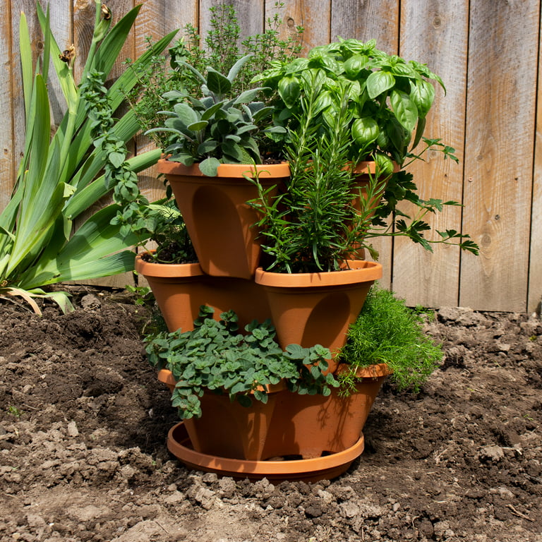 Garden Stacker Planter Culinary Herb Garden Kit - Color: Terracotta - Stackable/Hangable Planter Pot - Indoor/Outdoor - 12 Seed Packs: Parsley, Dill