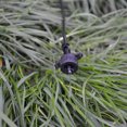 thumbnail image 3 of 50 unids Irrigation Dripper Emisters Presión Compensación Dippers Drip Emisters, 3 of 6