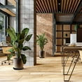 thumbnail image 4 of Lefu 2pcs PP Round Succulent Plant Flower Pot Saucer Planter Trays Supplies Decor, 4 of 9