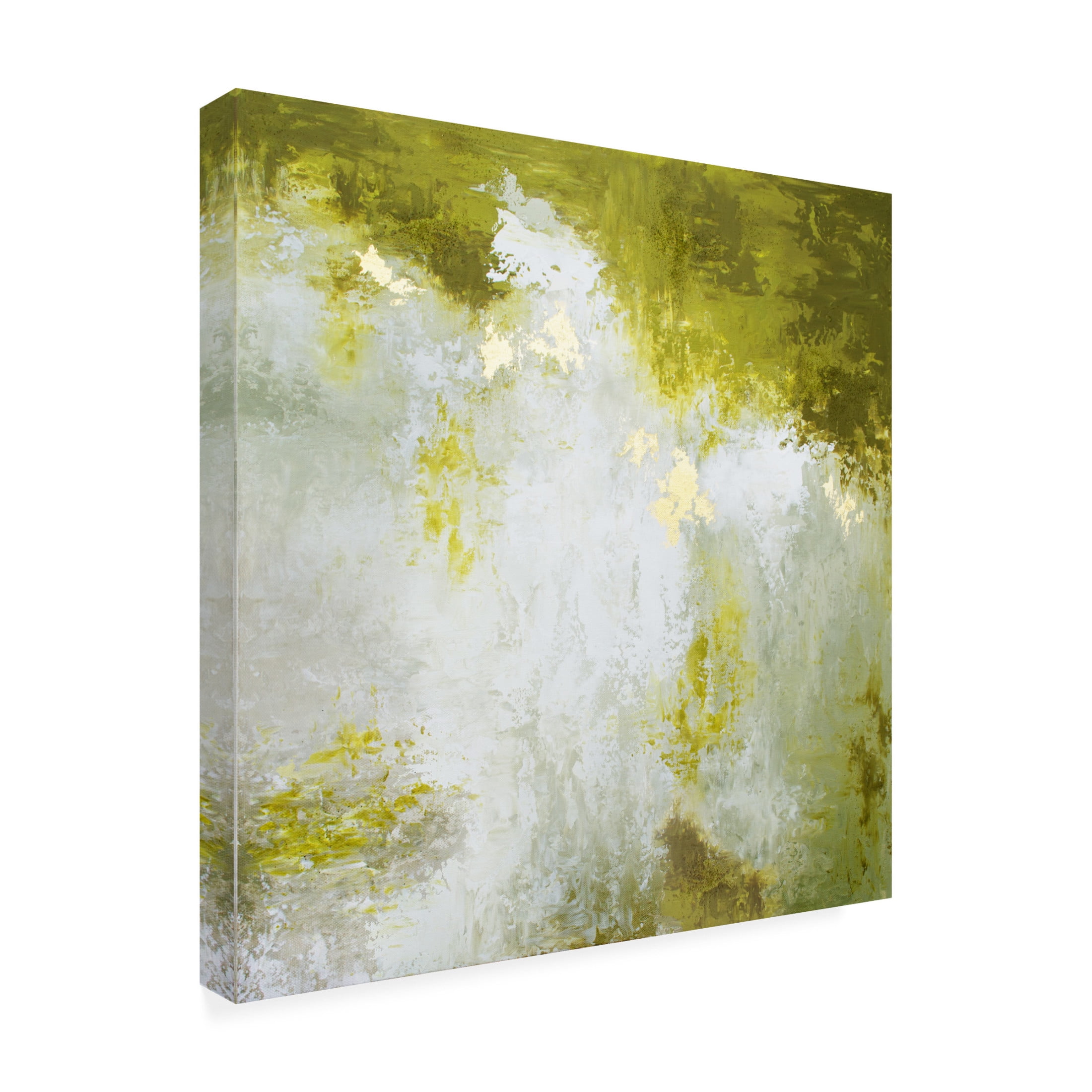 Trademark Fine Art Alyson Storms  Abstract Blue Red Green 3 Canvas Wall Art