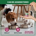 thumbnail image 7 of Cranberry Urinary Tract Support Drops for Cats and Dogs – Kidney & Bladder Wellness Supplement Drops - Supports Urinary Comfort & Normal Urine Flow, 7 of 7