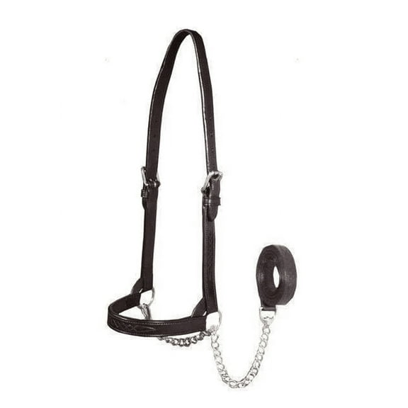 Derby New and Improved Premium Flat Fancy Stitch Leather Cattle Show Halter with Matching Chain Lead