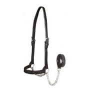 Derby New and Improved Premium Flat Fancy Stitch Leather Cattle Show Halter with Matching Chain Lead- Havana, Small Sized