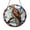 Acrylic 3.5 Inch, variant on Colorful Hawk Bird Stained Glass Window Suncatcher Sun Catcher Scenic Nature Home Decor Gift
