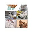 thumbnail image 2 of 4pcs Anti-scratch Cat Paw Cover For Bathing, Pet Cat Foot Booties, Cat Claw Protector, 2 of 4
