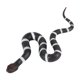 thumbnail image 2 of Serpiente de goma súper realista que ahuyenta a las aves. Serpiente falsa realista de TPR, adecuada para cobras de jardín, serpientes de cascabel, serpientes venenosas, etc., 2 of 5